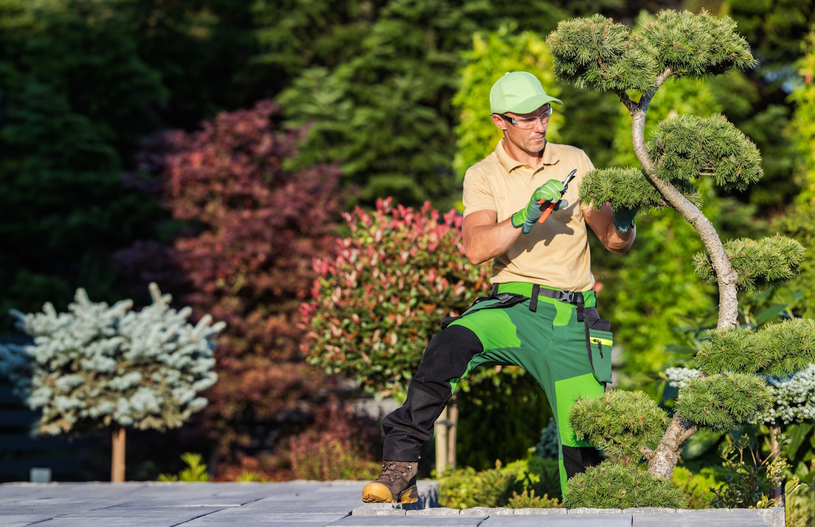 Top Tips for HOA Landscaping and Curb Appeal